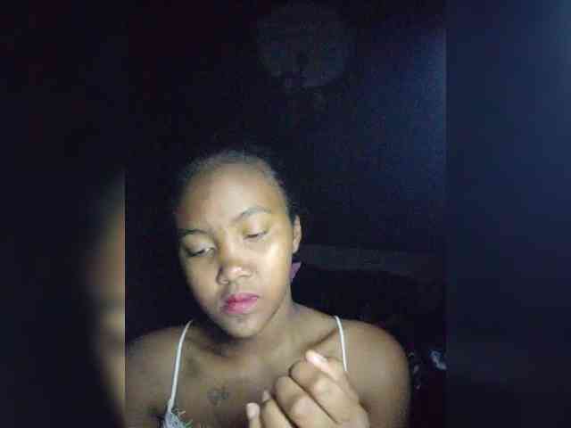 Stella11 webcam