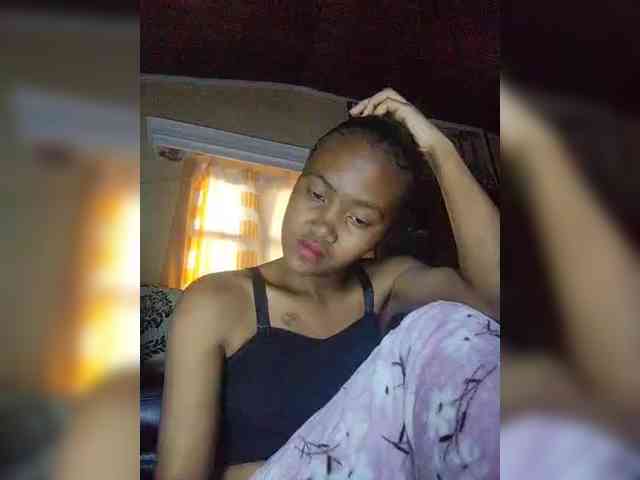 Stella11 webcam