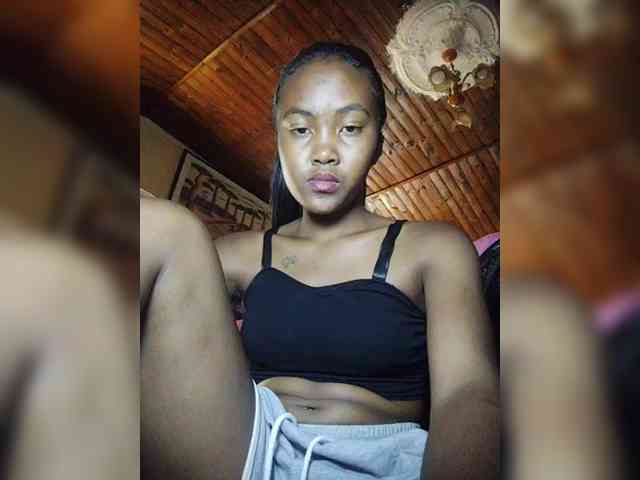 Stella11 webcam