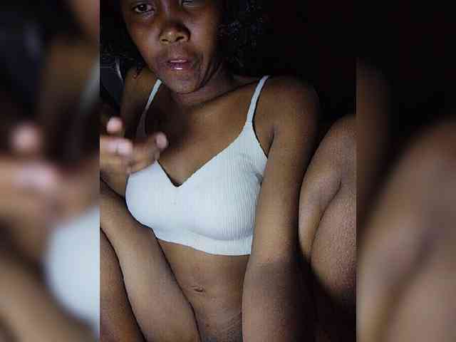 Stella11 webcam