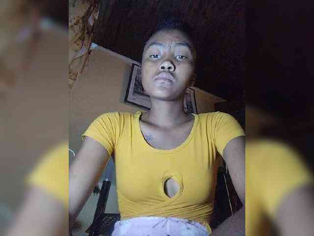 Stella11 webcam