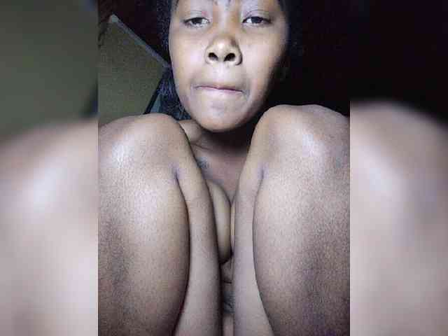 Stella11 webcam