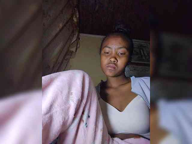 Stella11 webcam
