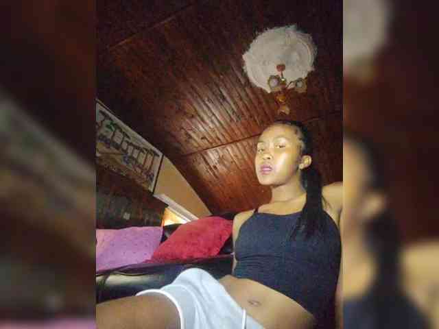 Stella11 webcam