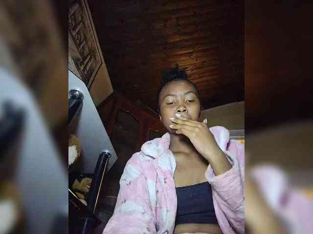 Stella11 webcam