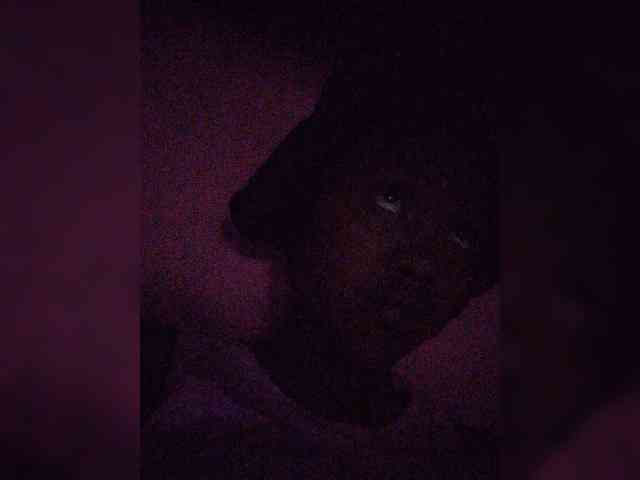 Stella11 webcam