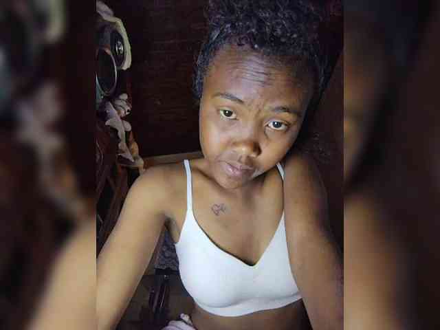 Stella11 webcam