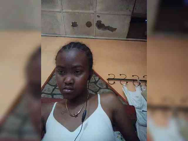 Stella11 webcam