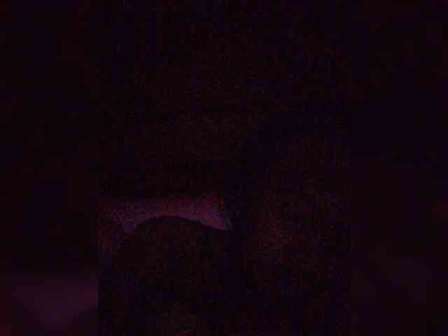 Stella11 webcam
