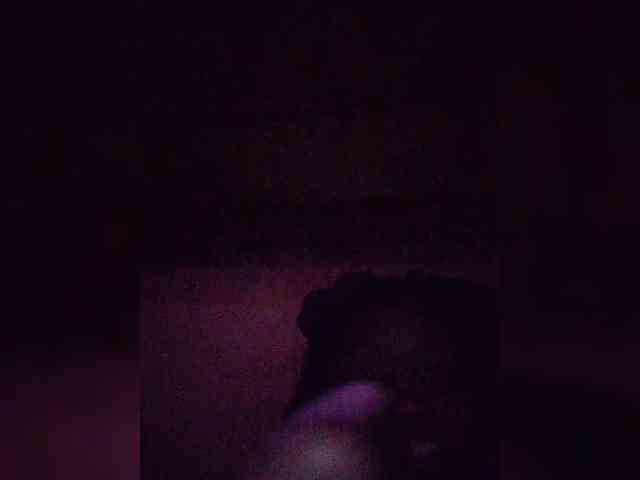 Stella11 webcam