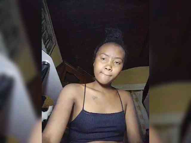 Stella11 webcam