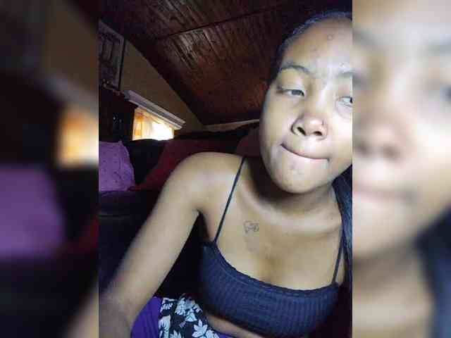 Stella11 webcam