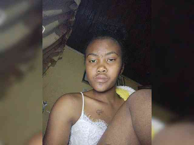 Stella11 webcam