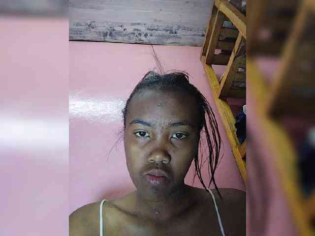 Stella11 webcam