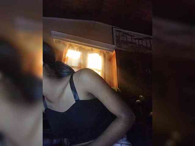 Stella11 webcam