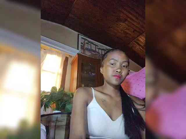 Stella11 webcam