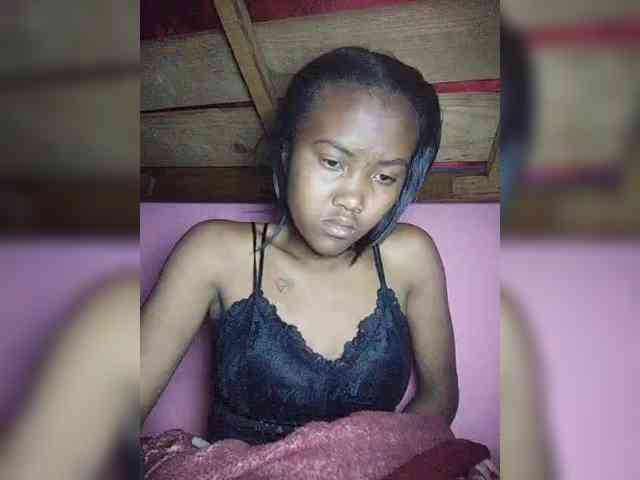 Stella11 webcam