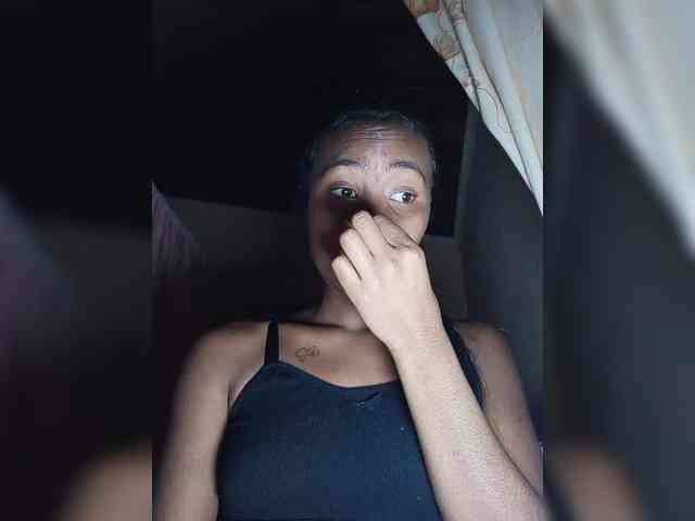 Stella11 webcam