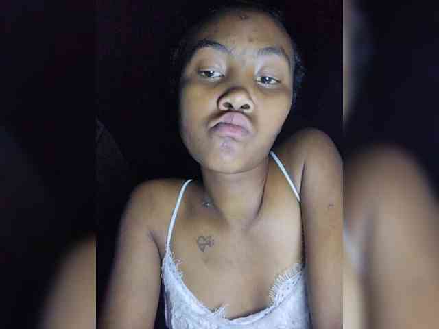 Stella11 webcam