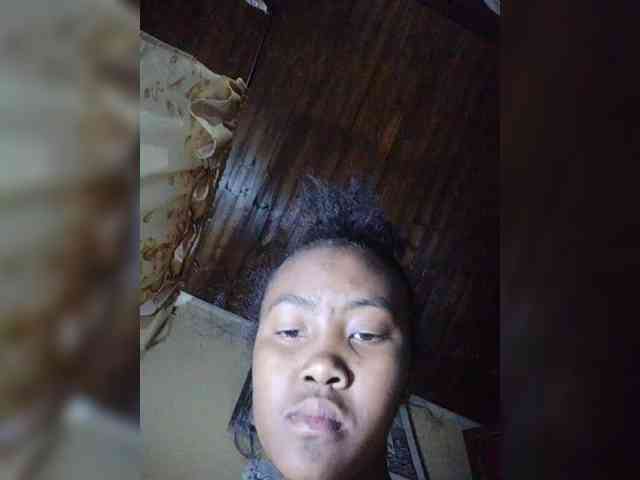 Stella11 webcam
