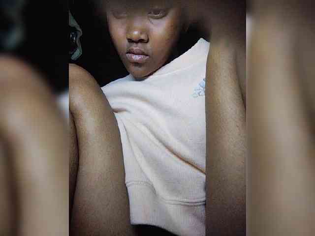 Stella11 webcam
