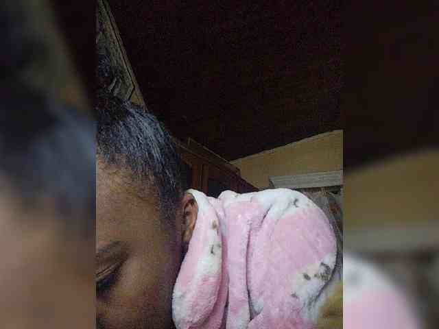 Stella11 webcam
