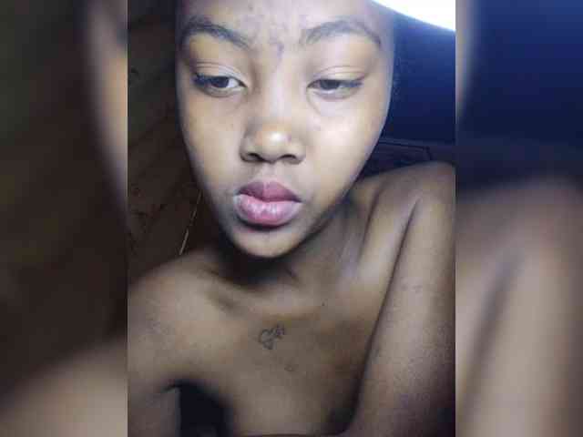 Stella11 webcam