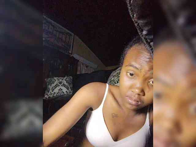 Stella11 webcam