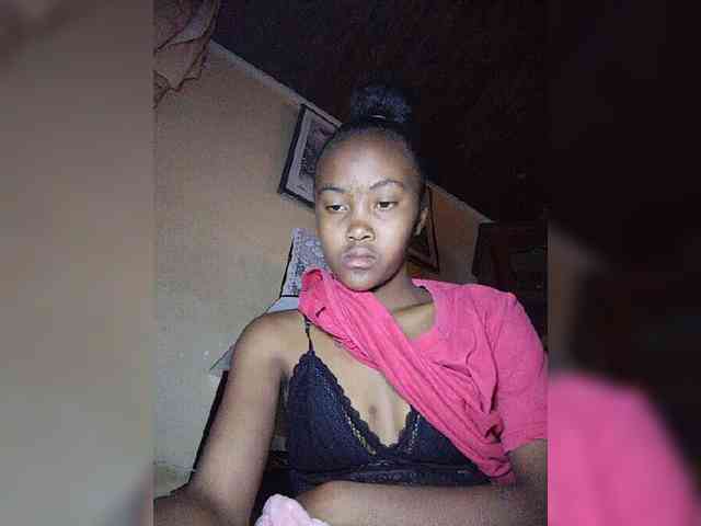 Stella11 webcam