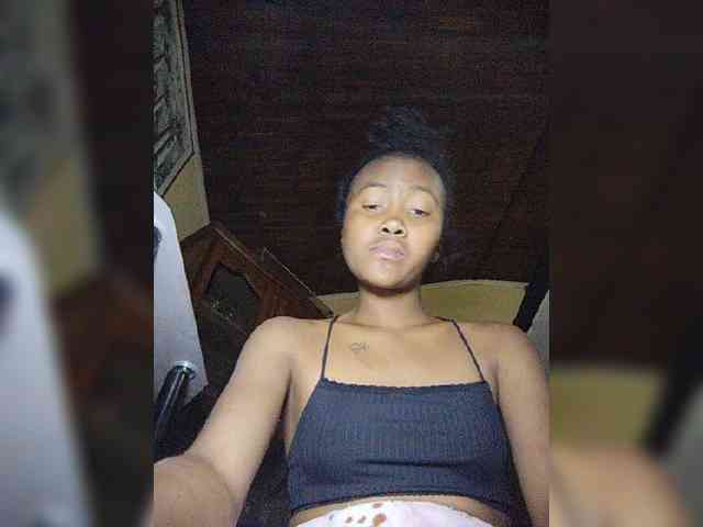 Stella11 webcam