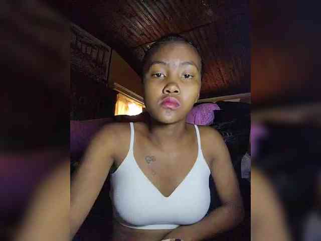 Stella11 webcam