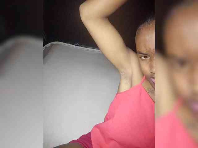 Stella11 webcam