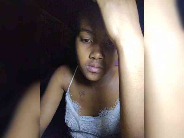 Stella11 webcam