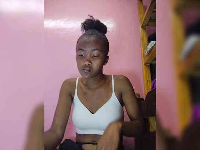 Stella11 webcam