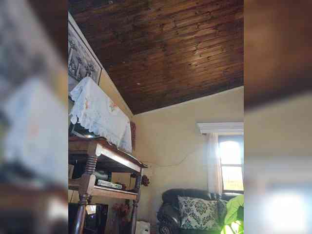 Stella11 webcam
