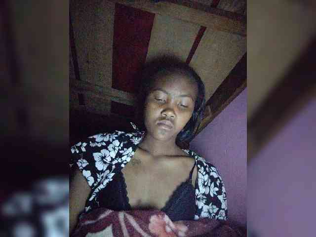 Stella11 webcam