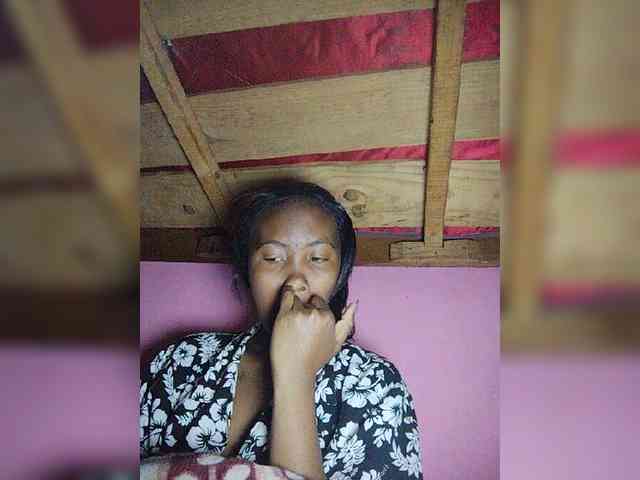 Stella11 webcam
