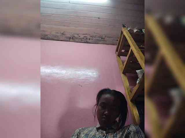 Stella11 webcam