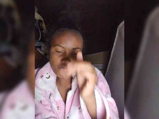 Stella11 webcam
