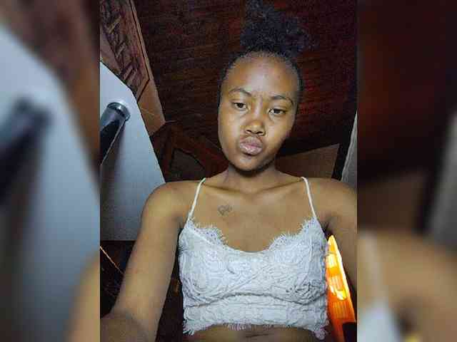 Stella11 webcam
