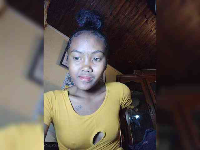 Stella11 webcam