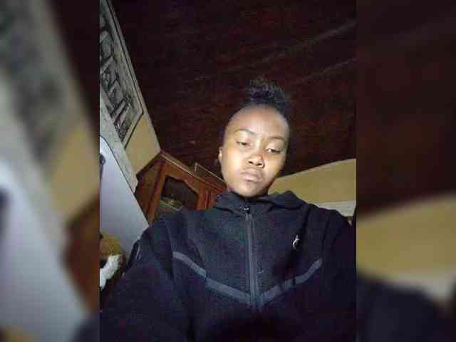 Stella11 webcam
