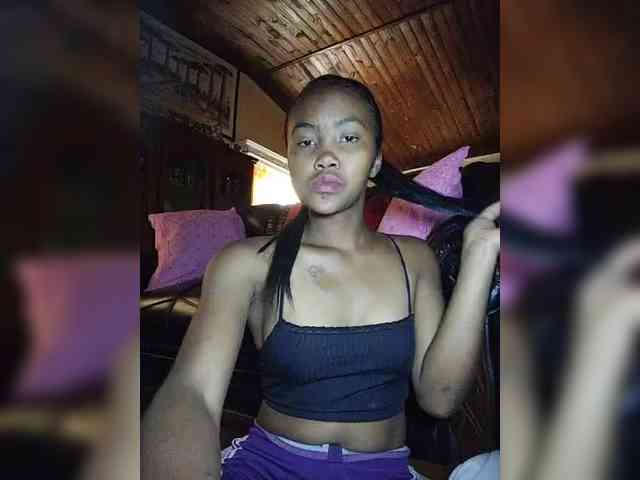 Stella11 webcam