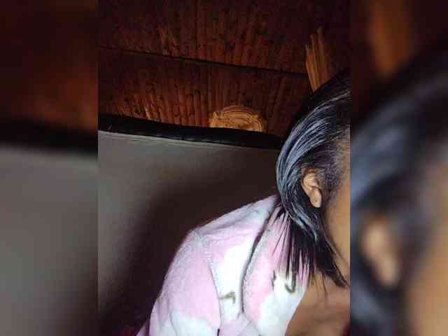 Stella11 webcam