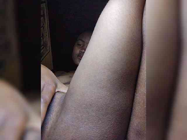 Stella11 webcam