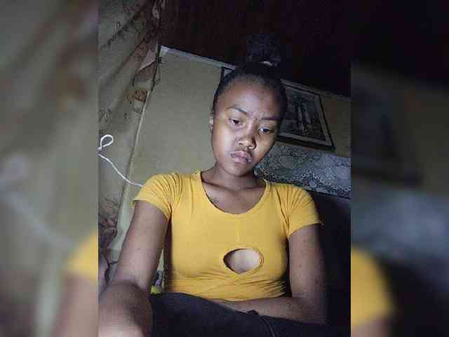 Stella11 webcam