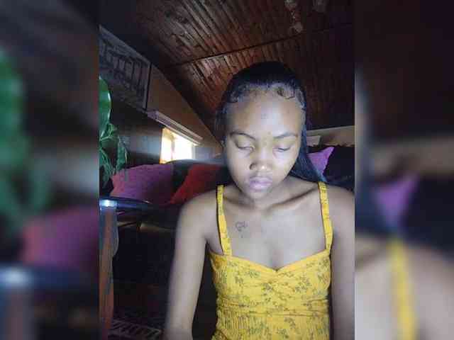 Stella11 webcam