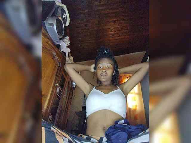 Stella11 webcam