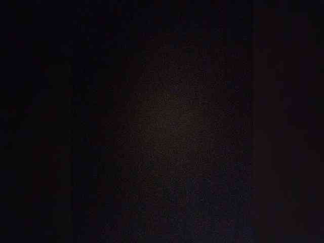 Stella11 webcam