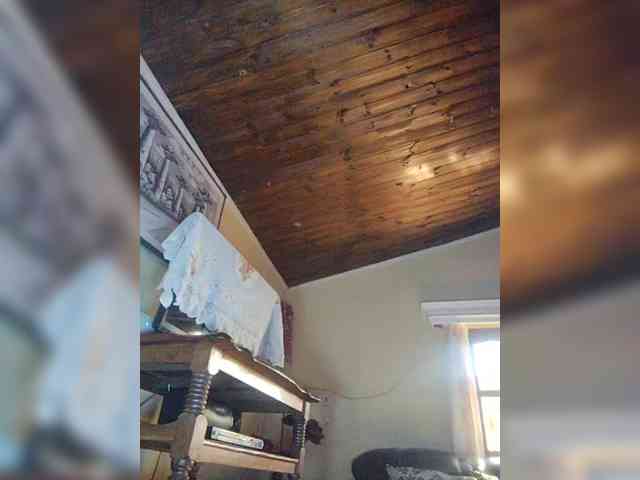 Stella11 webcam